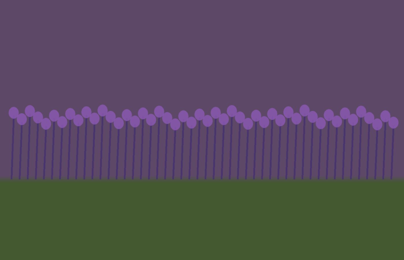 A Busy Summer